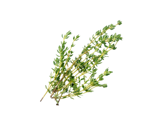 Herbs