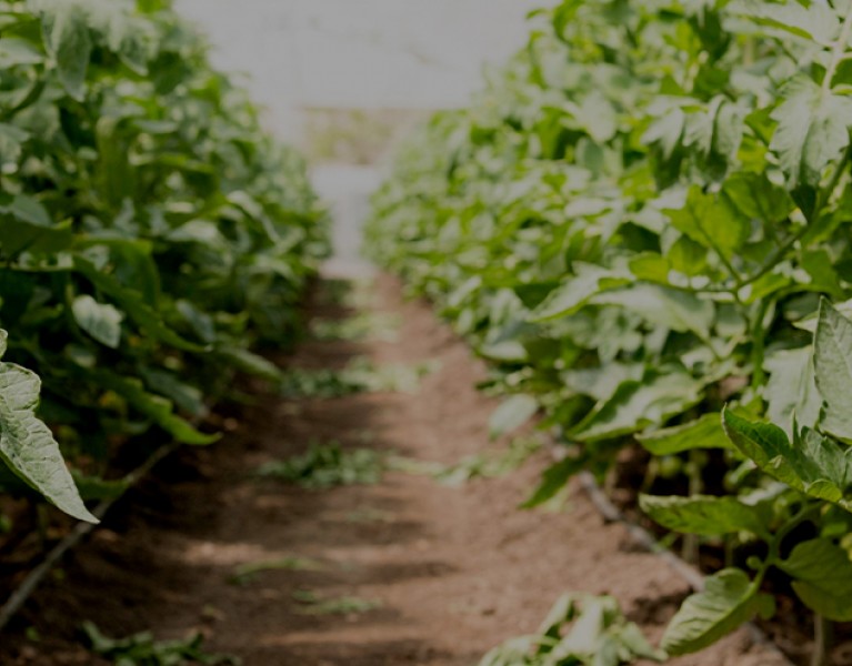 At JM Fresh we are dedicated to providing quality produces at competitive pricing ensuring that every customer always have access to the best supplies in Singapore!