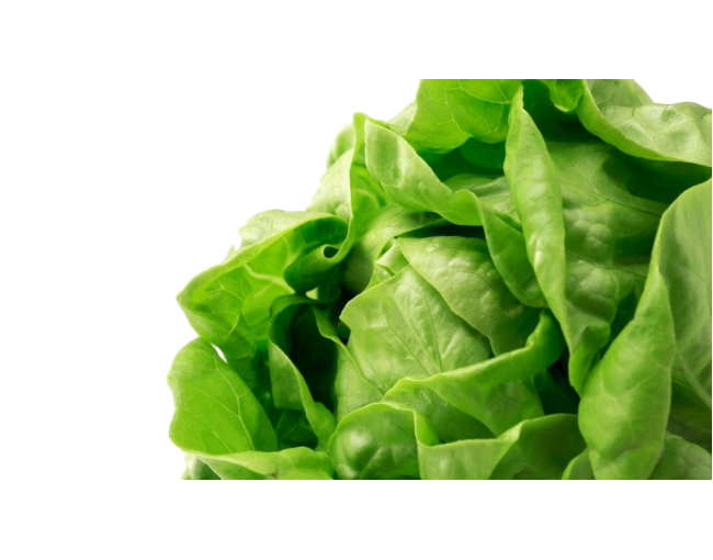 Vegetables