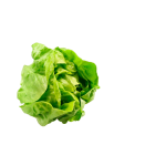 Vegetables
