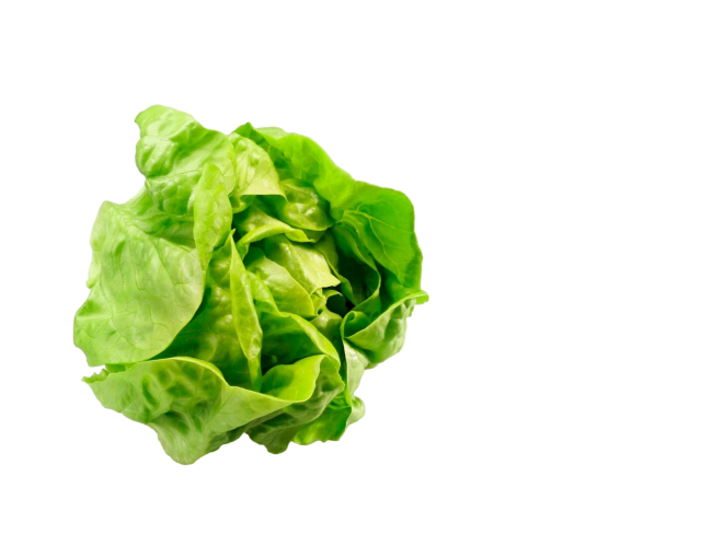 Vegetables