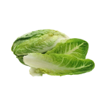 Vegetables
