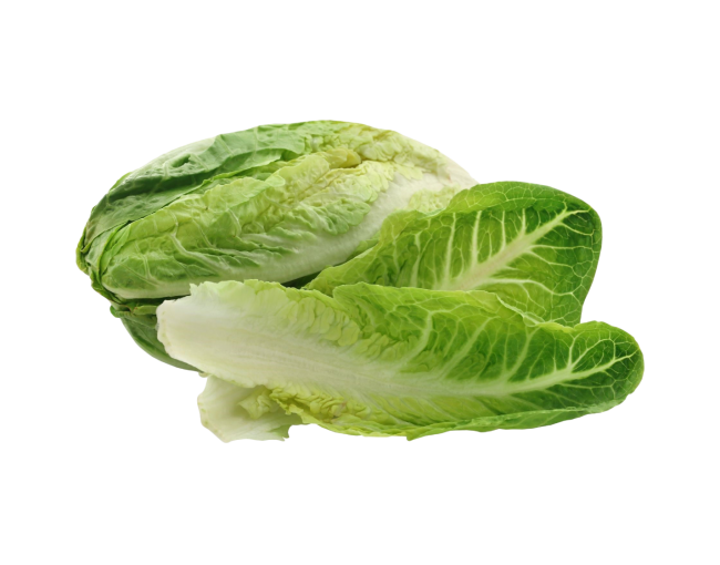 Vegetables