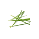 Garlic Chives (Koo Chye)