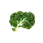 Vegetables