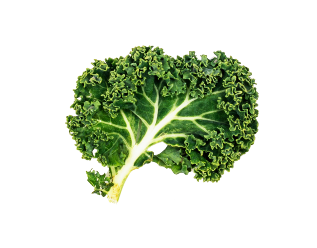 Vegetables