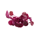 Red Spinach