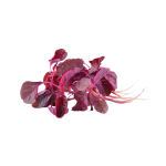 Vegetables