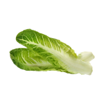 Vegetables