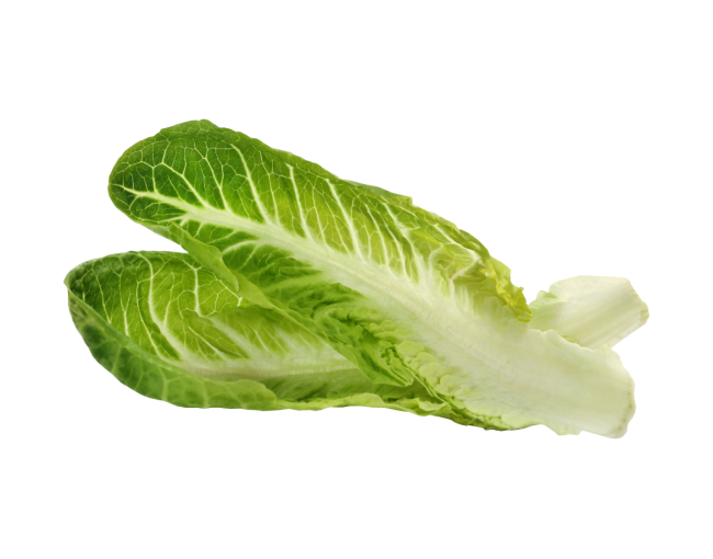 Vegetables