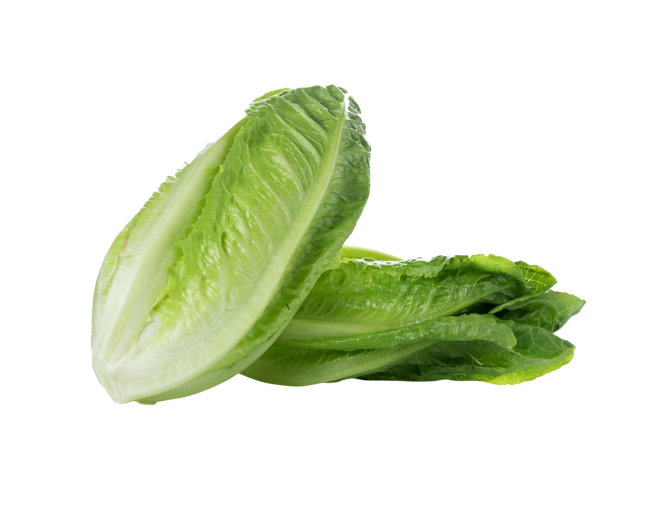 Vegetables