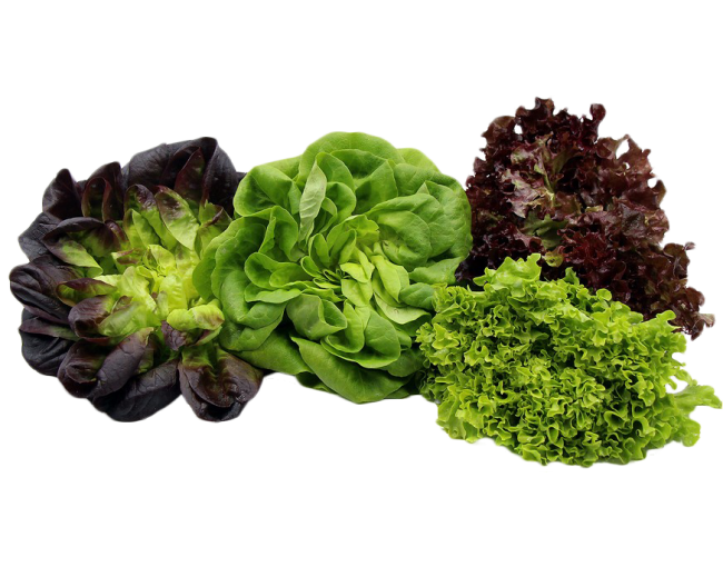 Vegetables