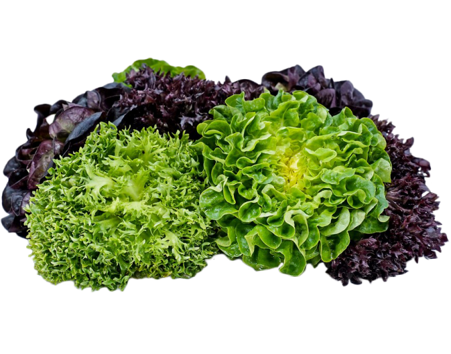 Vegetables