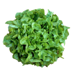 Vegetables