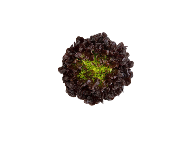 Vegetables