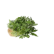 Sharp Spinach