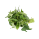Sweet Potato Leaves