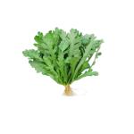 Vegetables