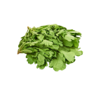 Vegetables