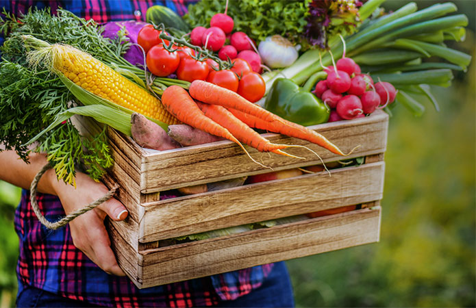 <p><span style="font-family:Georgia,serif;">Finding a fresh produce supplier that offers quality vegetables and fruits at a competitive price is often tricky. </span></p> <p><span style="font-family:Georgia,serif;">Low pricing can often mean subpar quality, while a perfect product often comes with an incredibly steep price tag.</span></p> <p><span style="font-family:Georgia,serif;">From the farm to your store. Get fresh produces reliably delivered according to your business demands.</span></p> <p> </p> <p><span style="font-family:Georgia,serif;"></span></p> <p><span style="font-family:Georgia,serif;">At JM Fresh we are dedicated to providing quality produces at competitive pricing ensuring that our partners always have access to the best supplies in Singapore. In addition, we are:</span></p> <p><span style="font-family:Georgia,serif;"><strong>Cost-Efficient </strong>- Arguably unbeatable price to quality ratio<br /> <strong>Reliable </strong>- We maintain high quality-control standards<br /> <strong>Customer Service Oriented</strong> - Available to answer all questions or address concerns<br /> <strong>Efficient</strong> - Your produce will be delivered on time every time</span></p> <p><span style="font-family:Georgia,serif;">With an advanced delivery fleet and state of the art coldroom to ensure optimum freshness at every step of the supply chain, discover why our partners trust us to supply fresh greens for their stores day after day.</span></p>